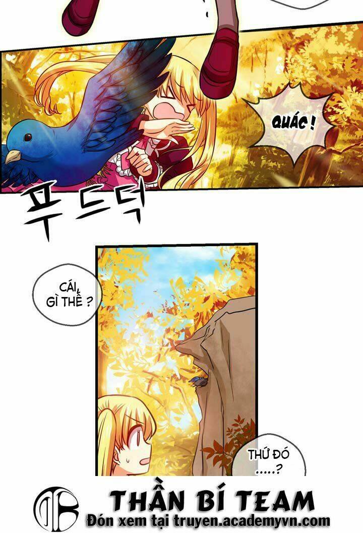 page_24.jpg