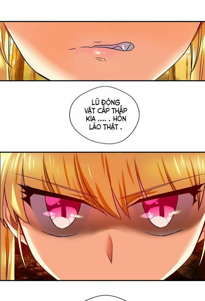 page_27.jpg