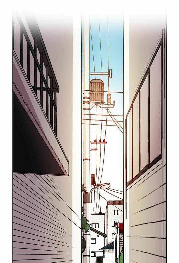 page_16.jpg
