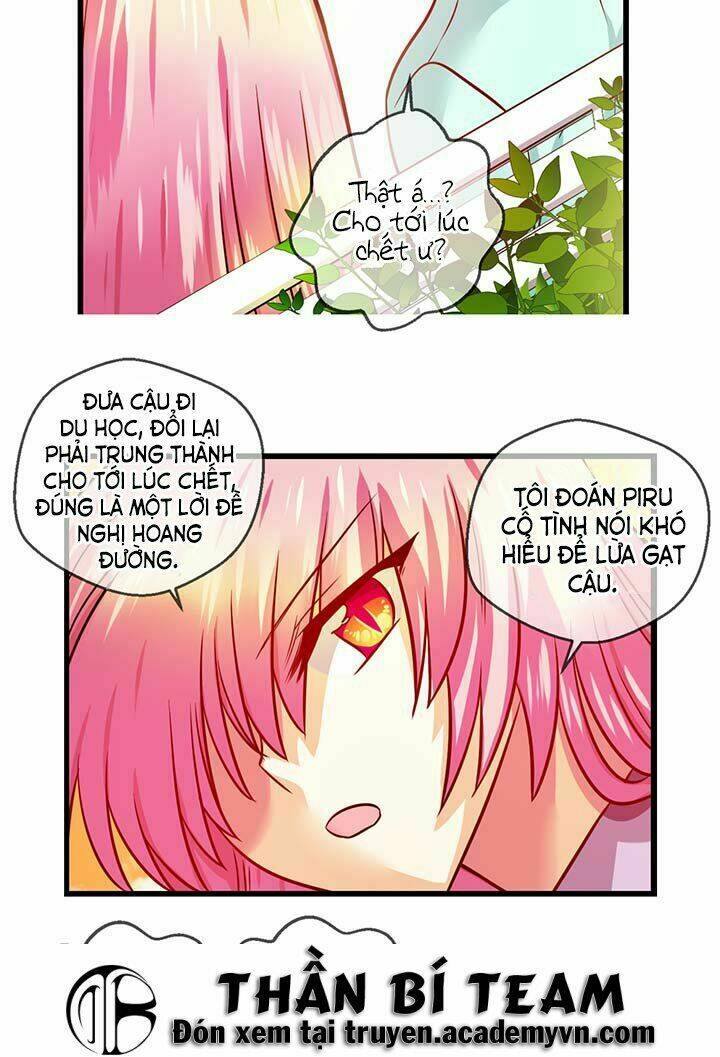 page_30.jpg