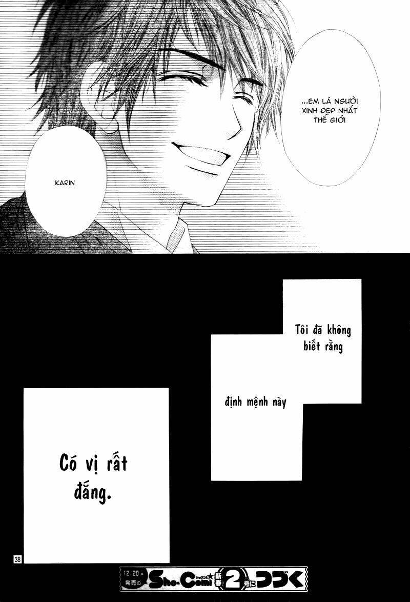 page_40.jpg