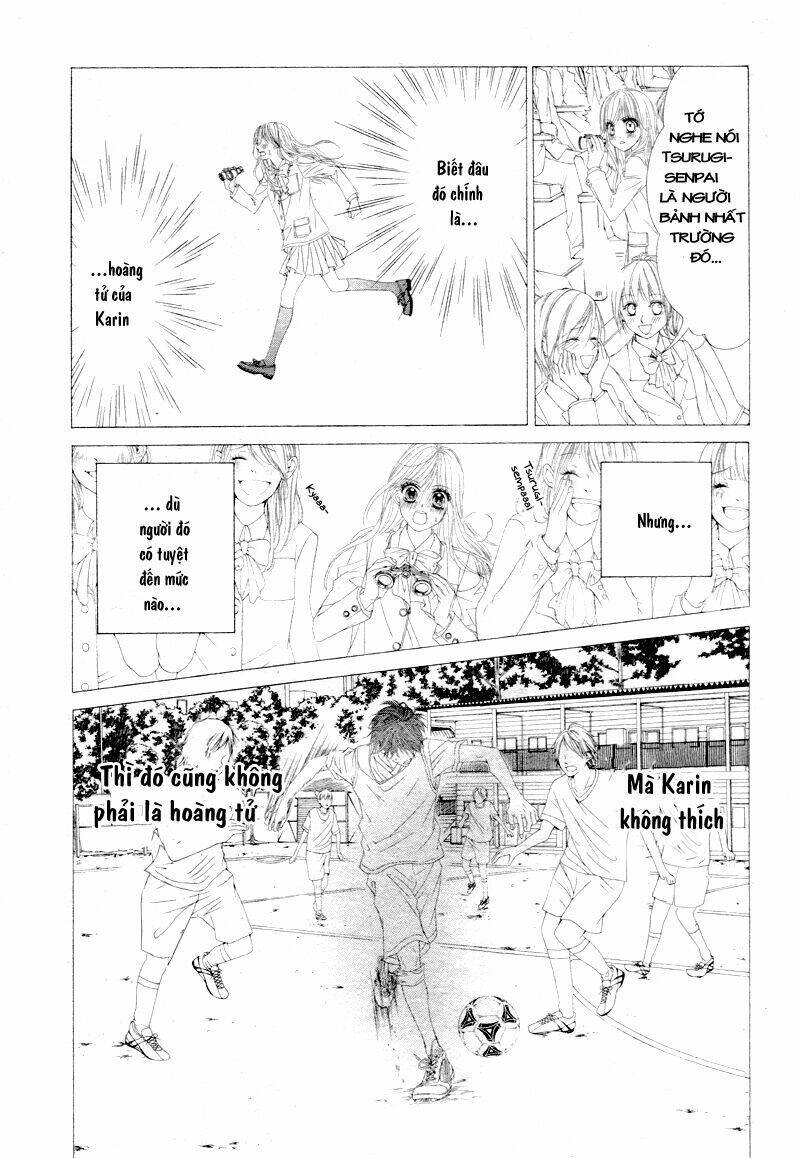 page_14.jpg