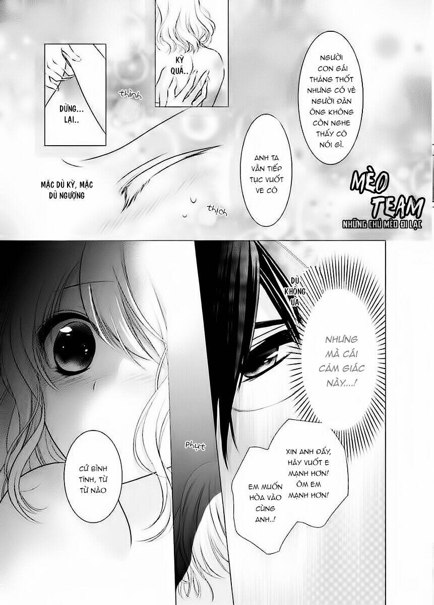 page_20.jpg