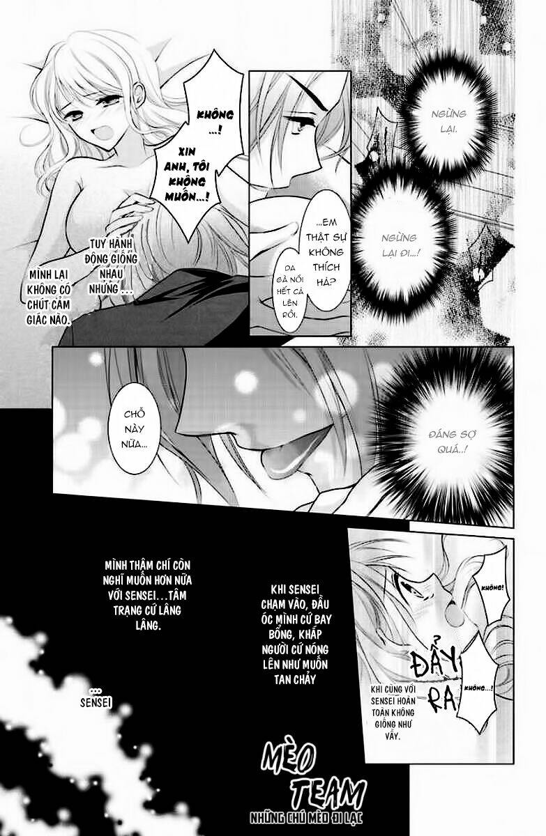 page_17.jpg