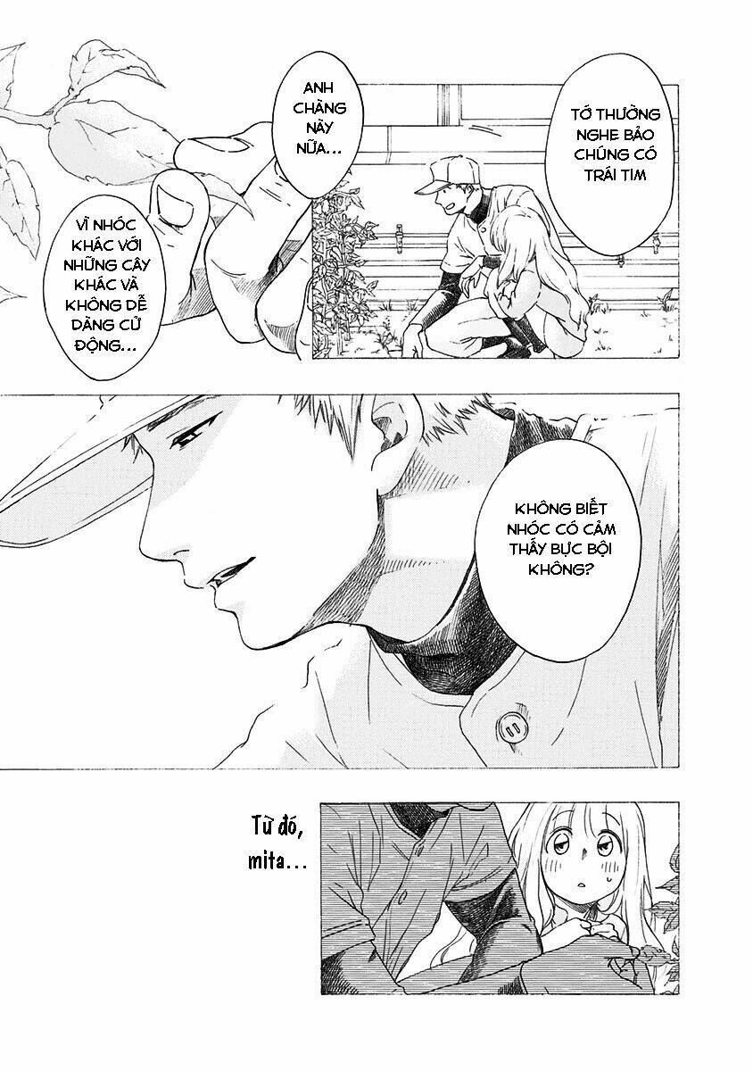 page_34.jpg