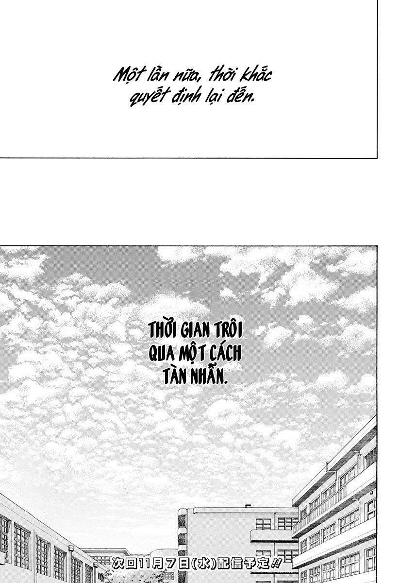 page_28.jpg