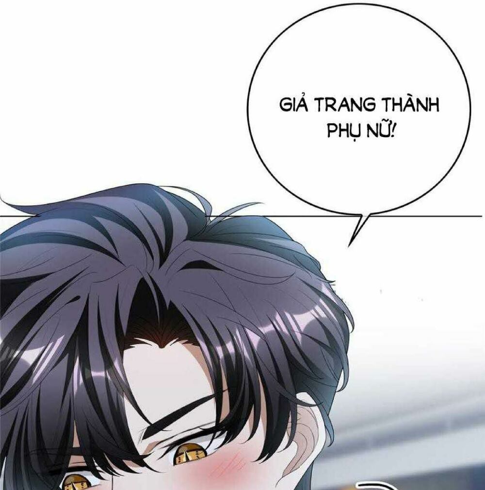 page_24.jpg