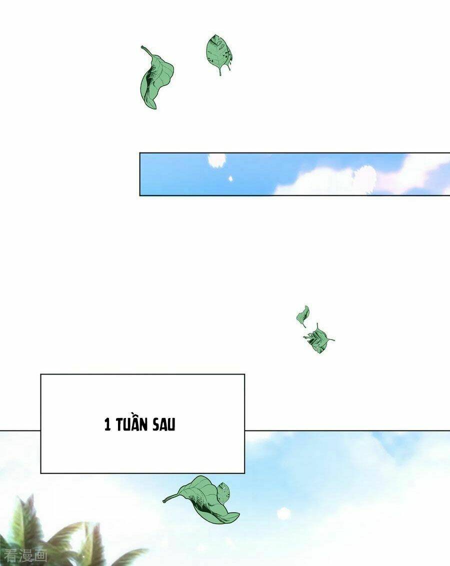 page_13.jpg