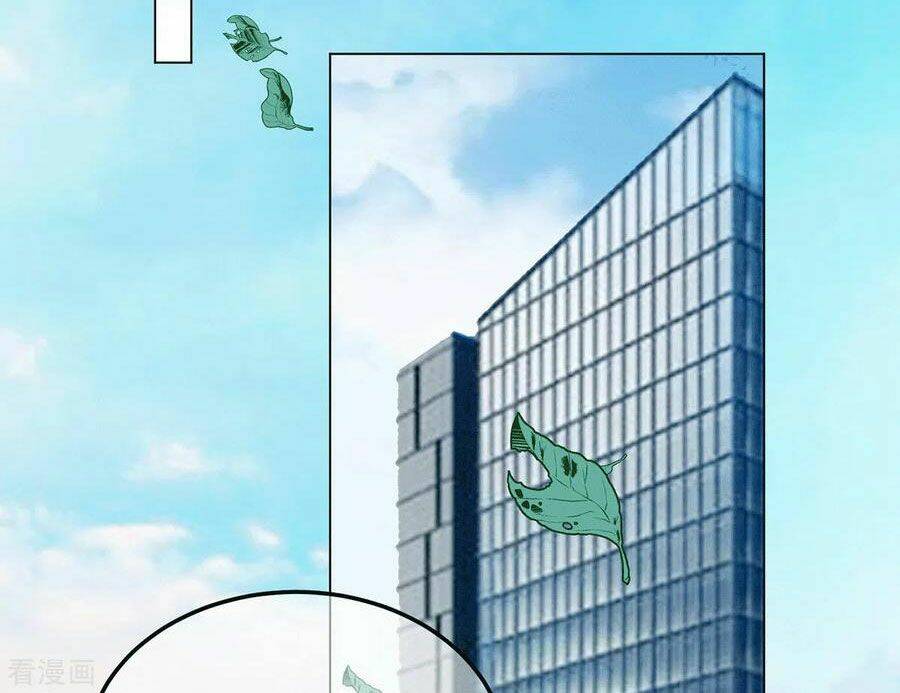 page_24.jpg