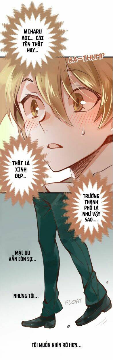 page_17.jpg