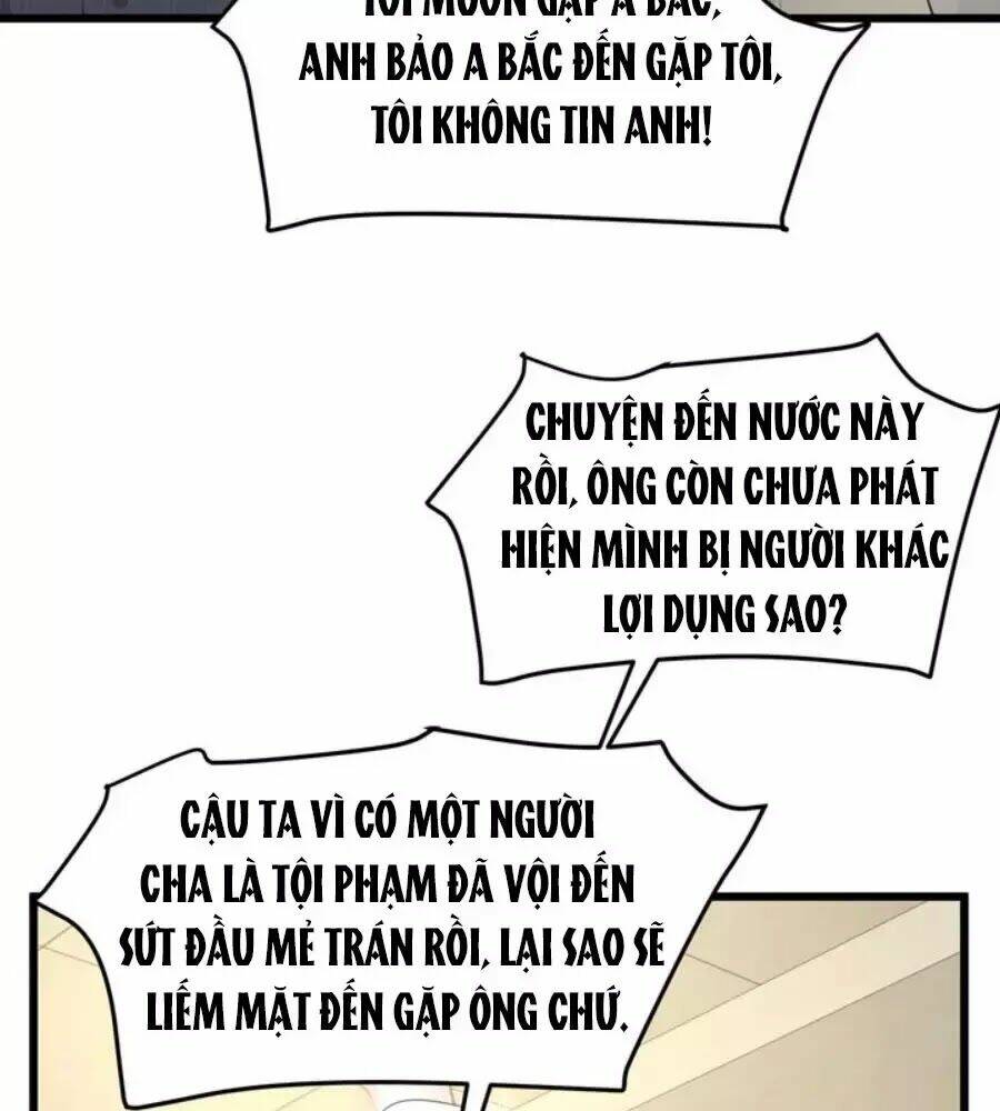 page_15.jpg