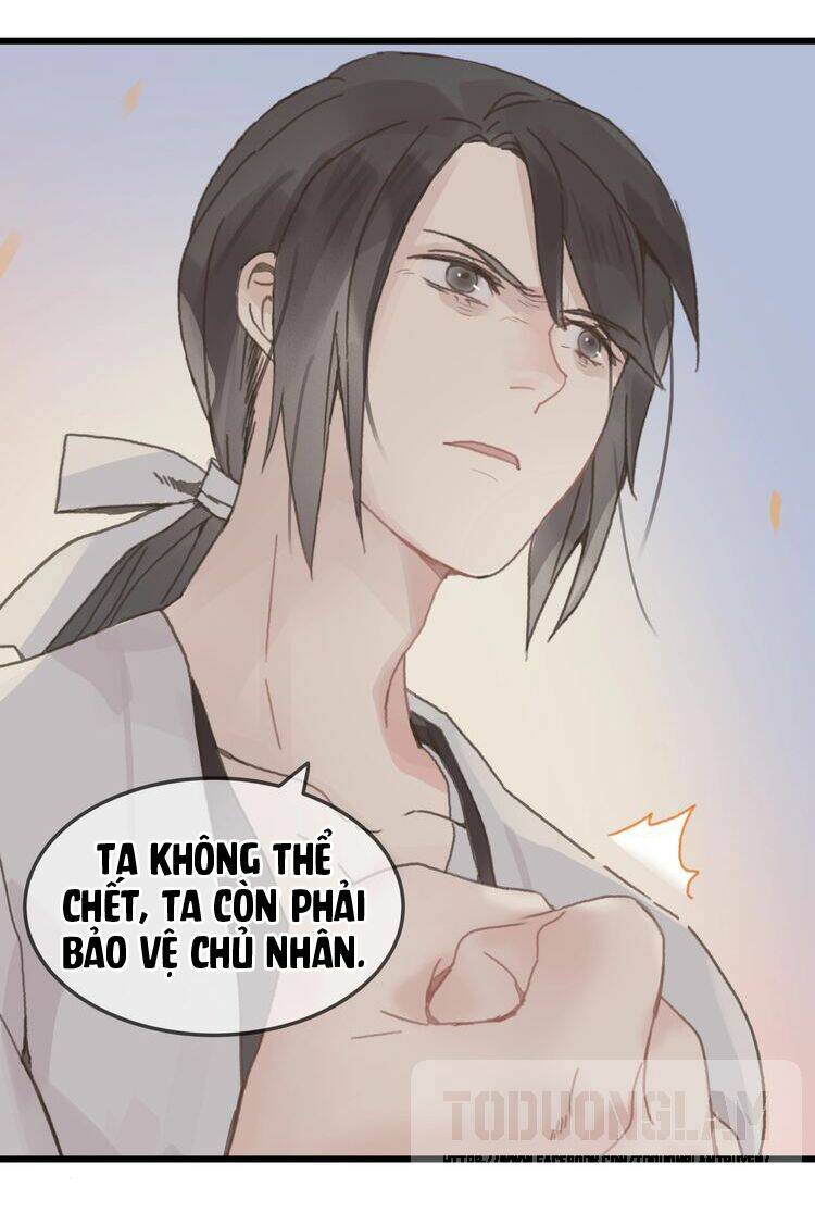 page_20.jpg