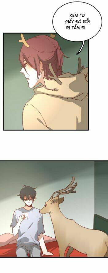 page_11.jpg