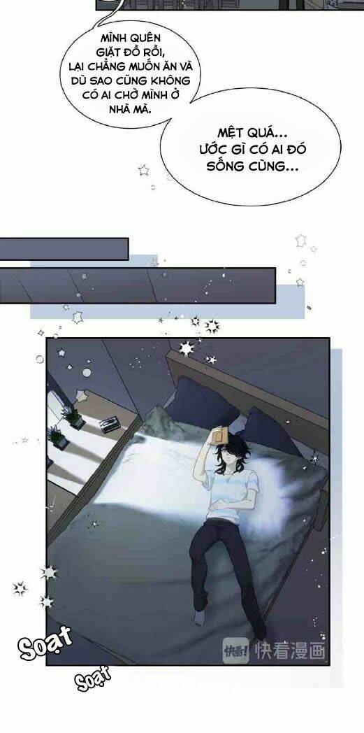page_17.jpg