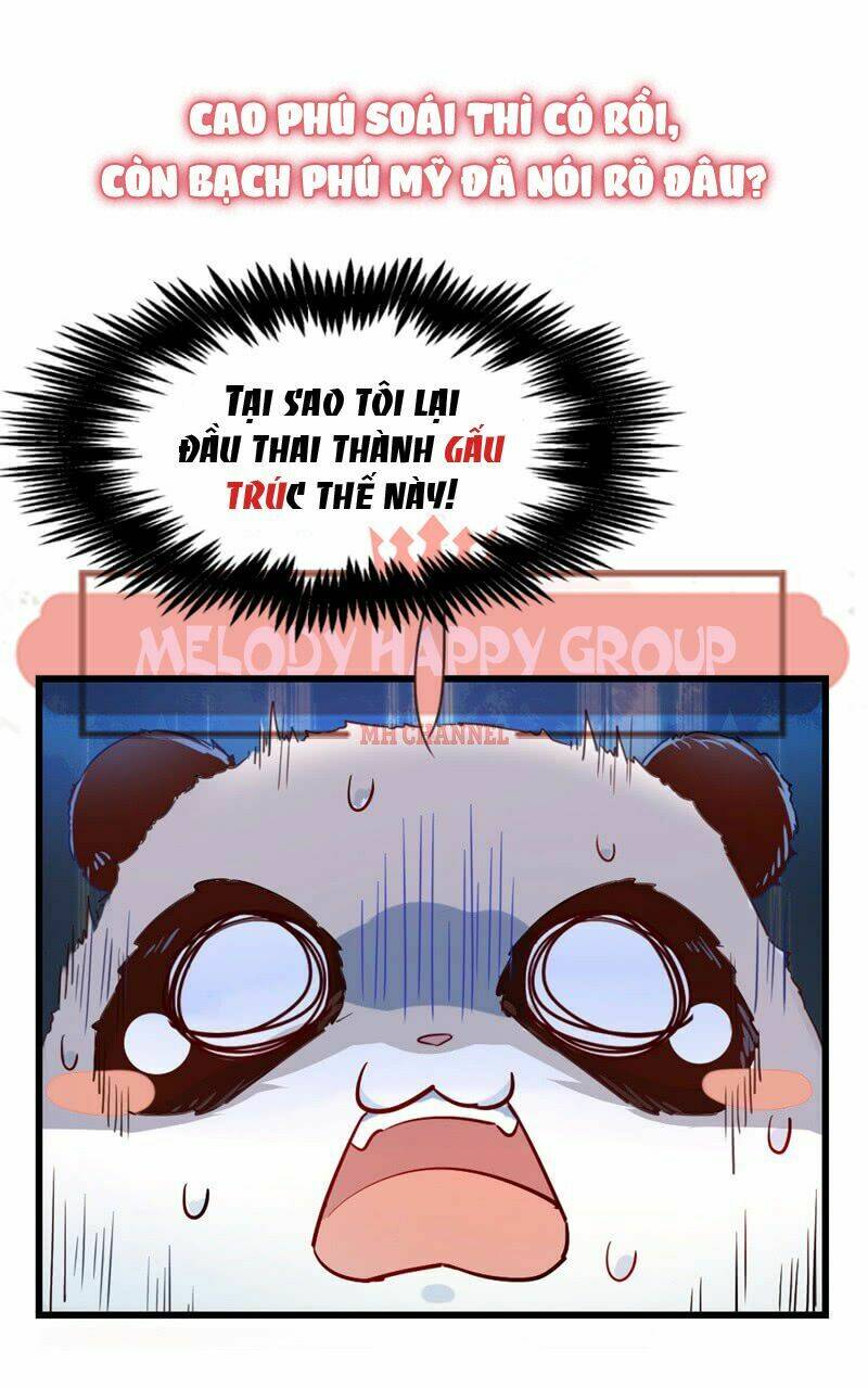 page_16.jpg
