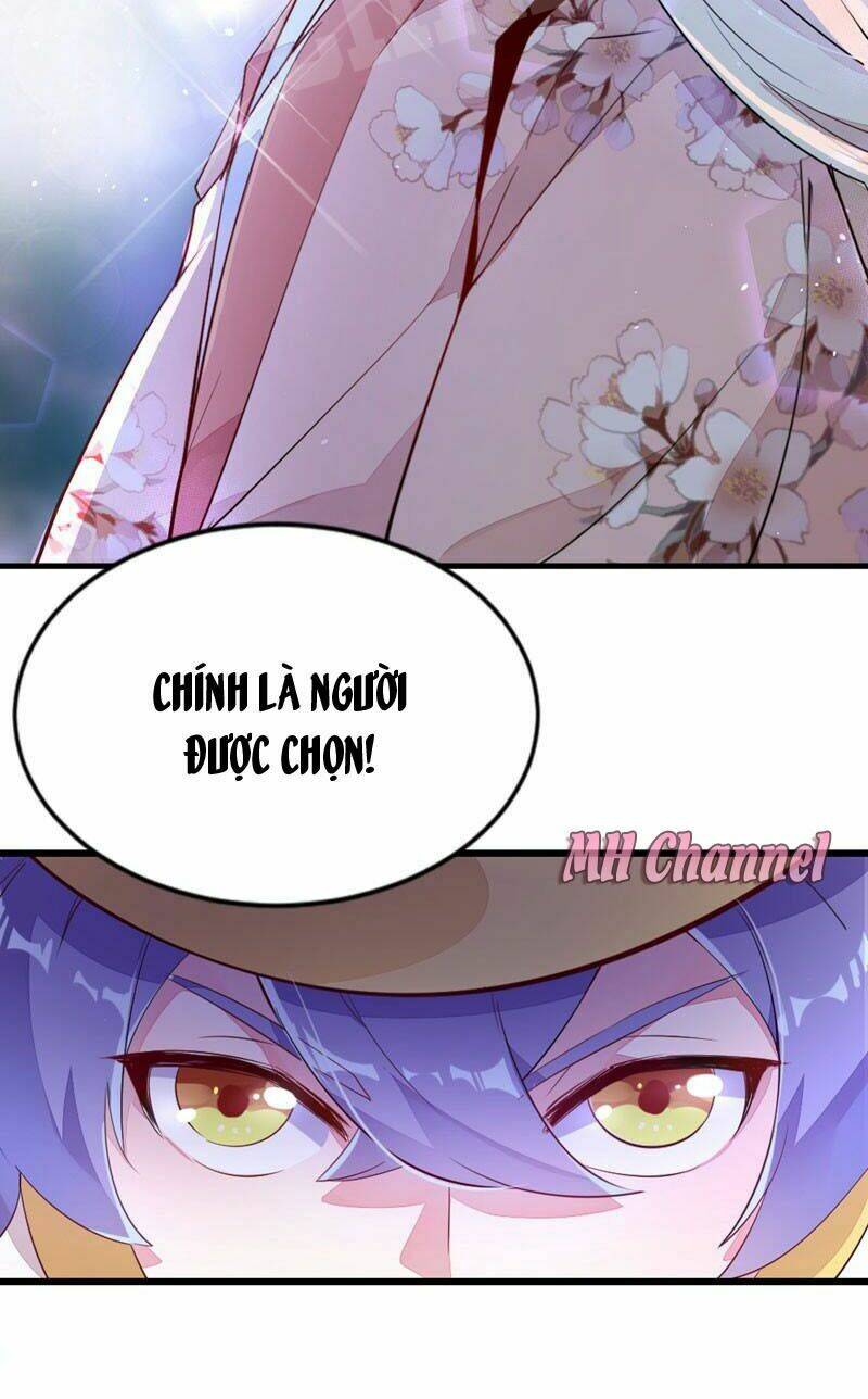 page_27.jpg