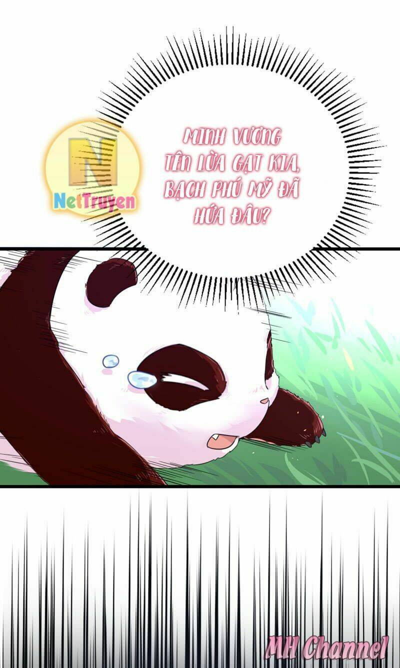 page_13.jpg