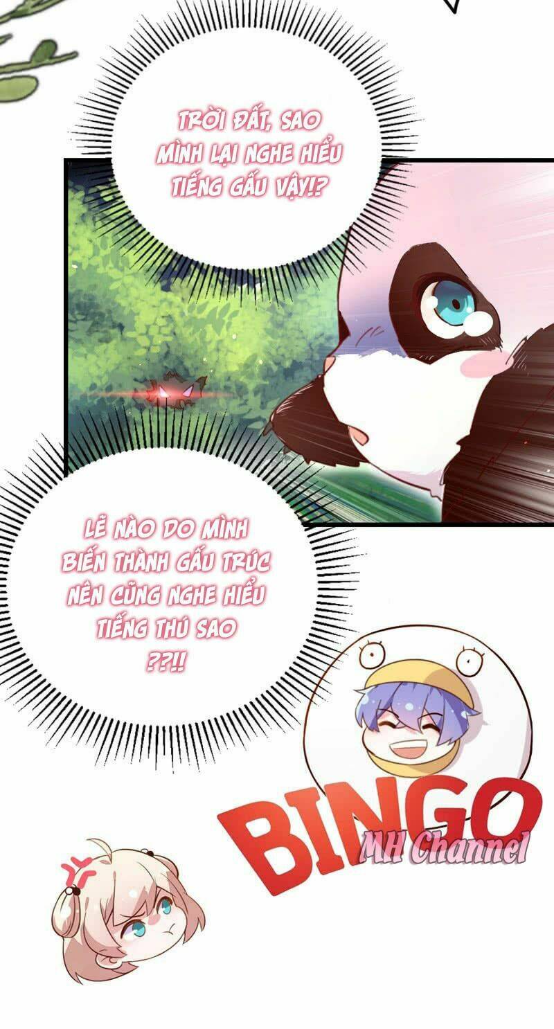 page_8.jpg