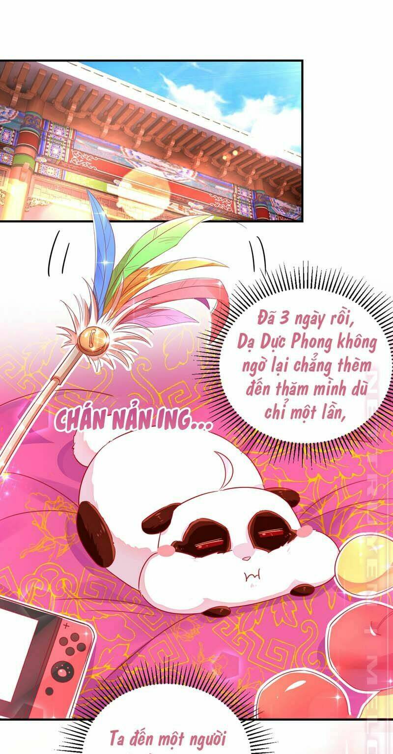 page_3.jpg