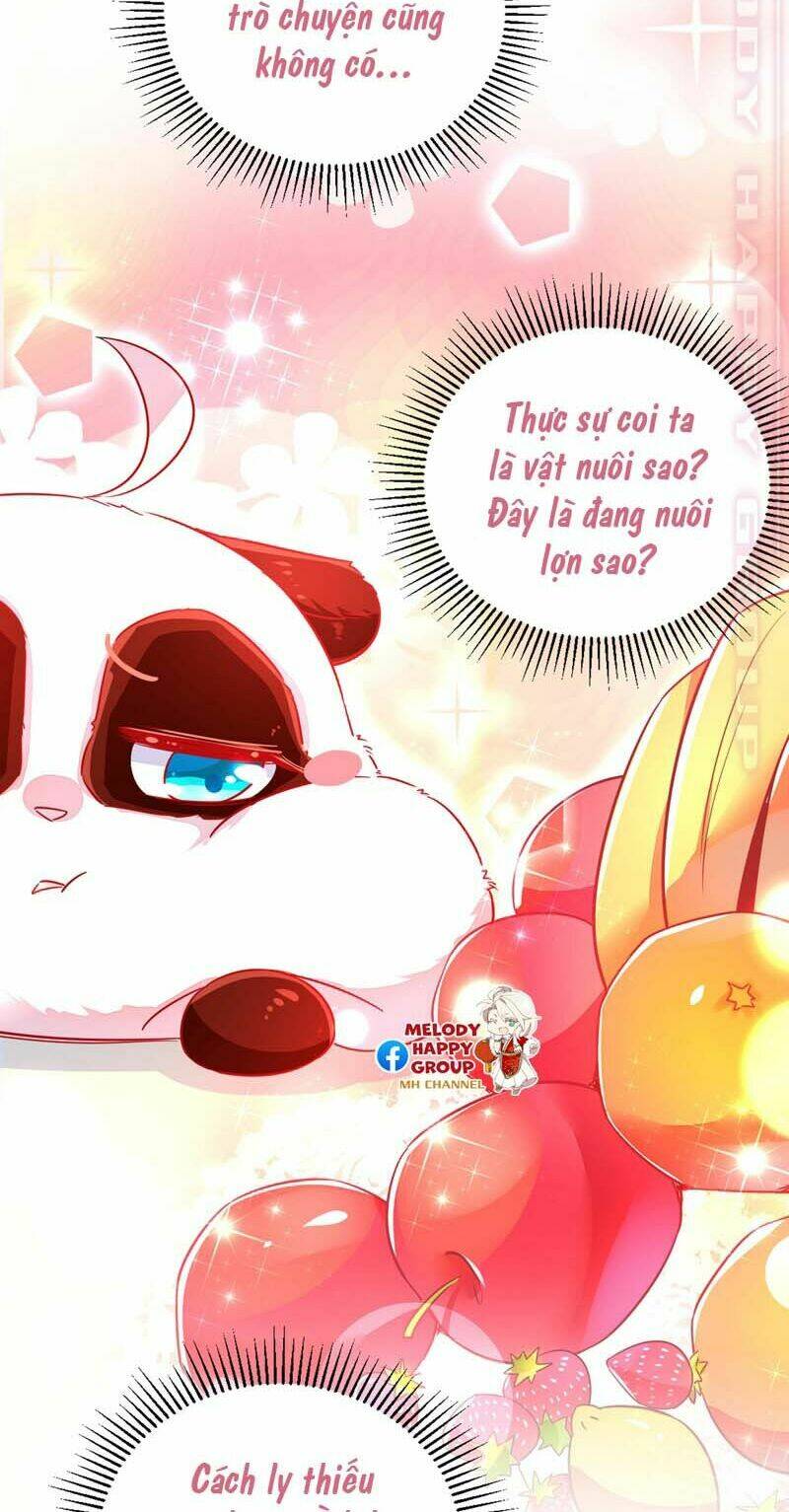 page_4.jpg