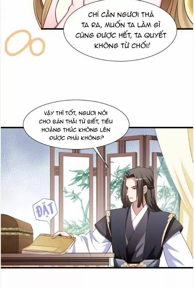 page_41.jpg