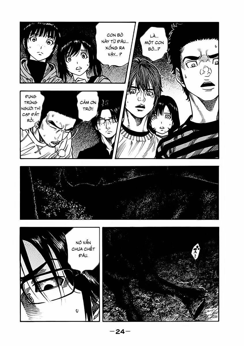 page_19.jpg