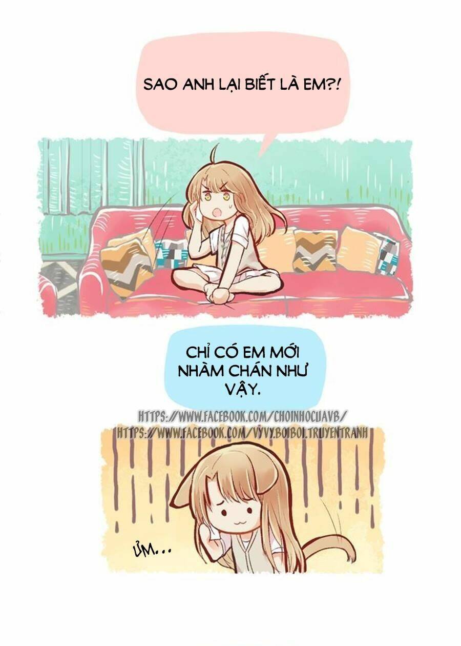 page_29.jpg