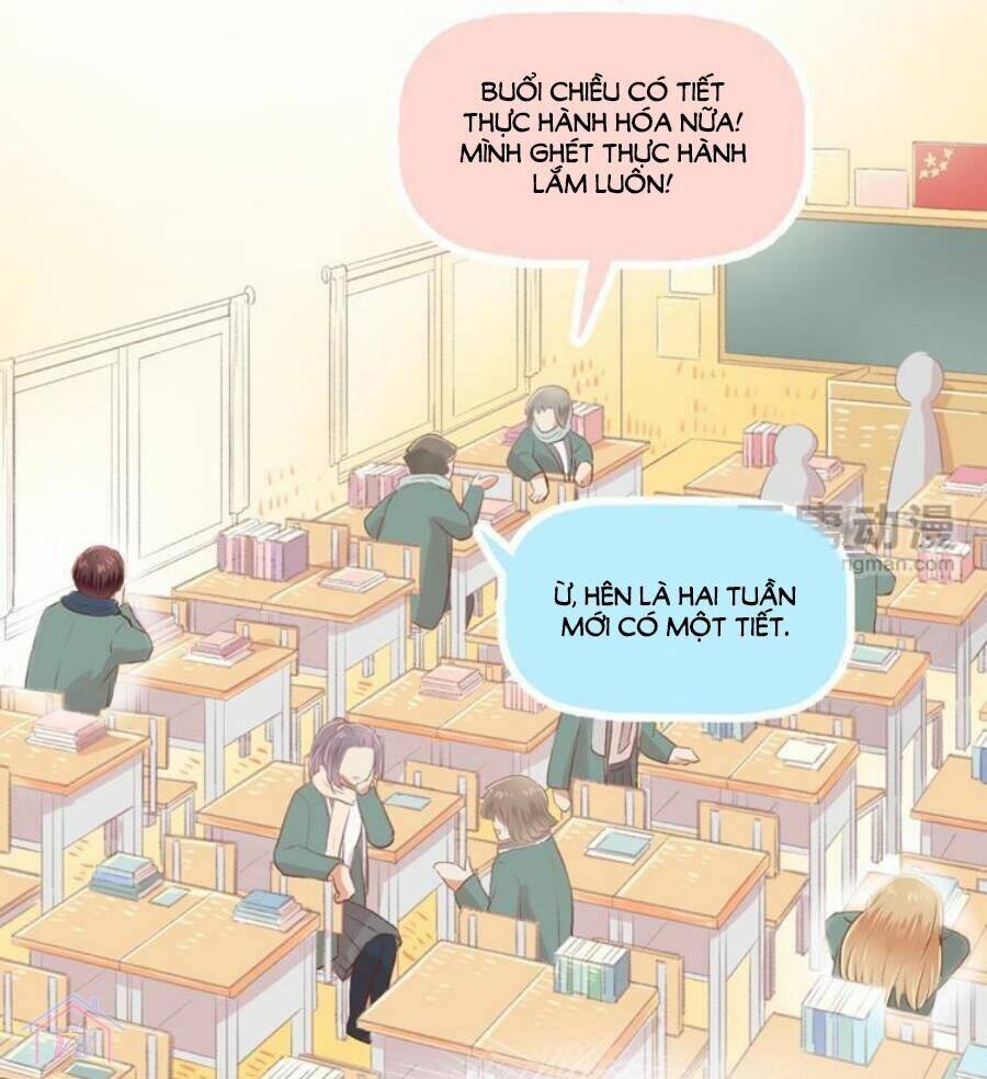 page_29.jpg
