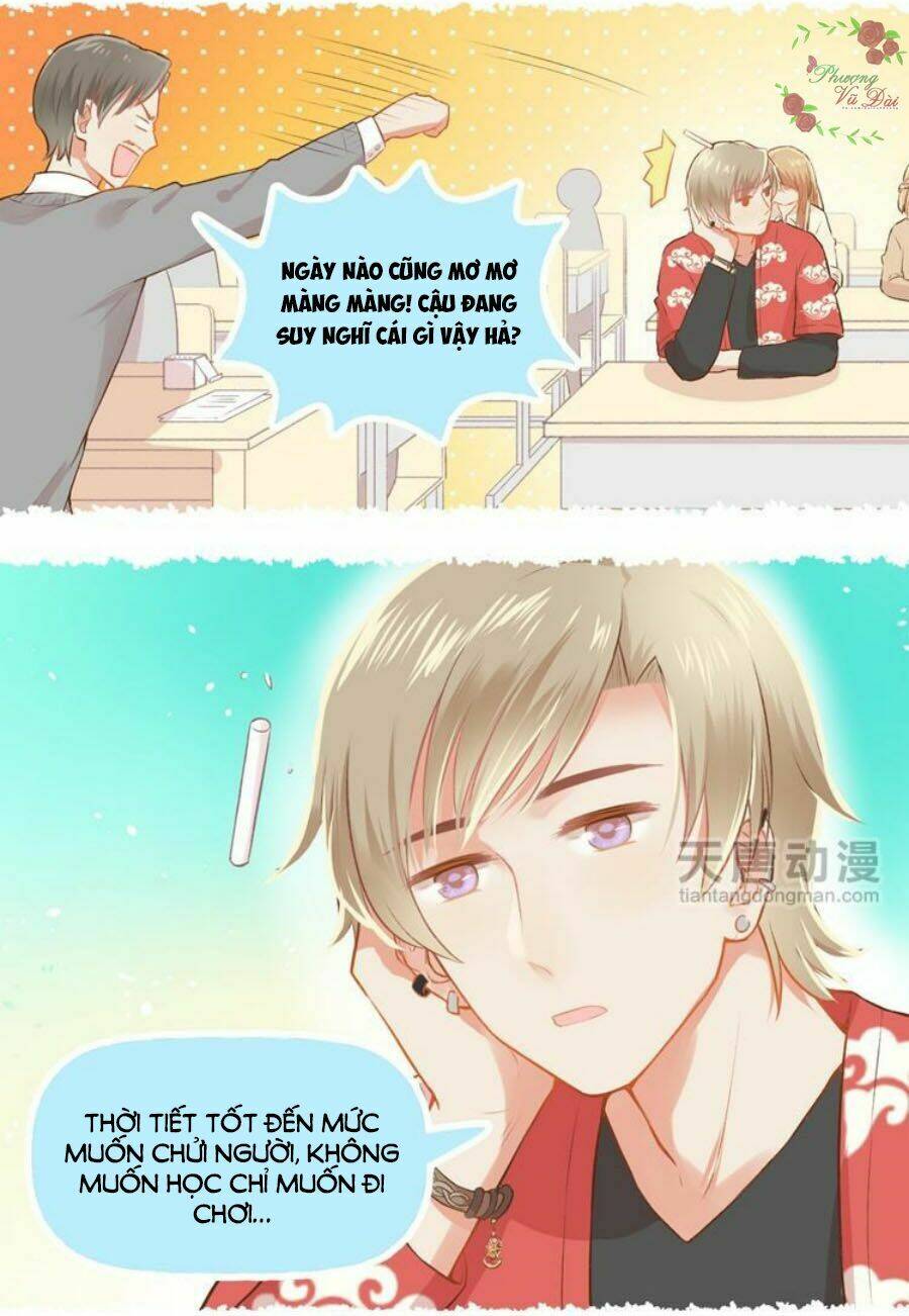 page_17.jpg