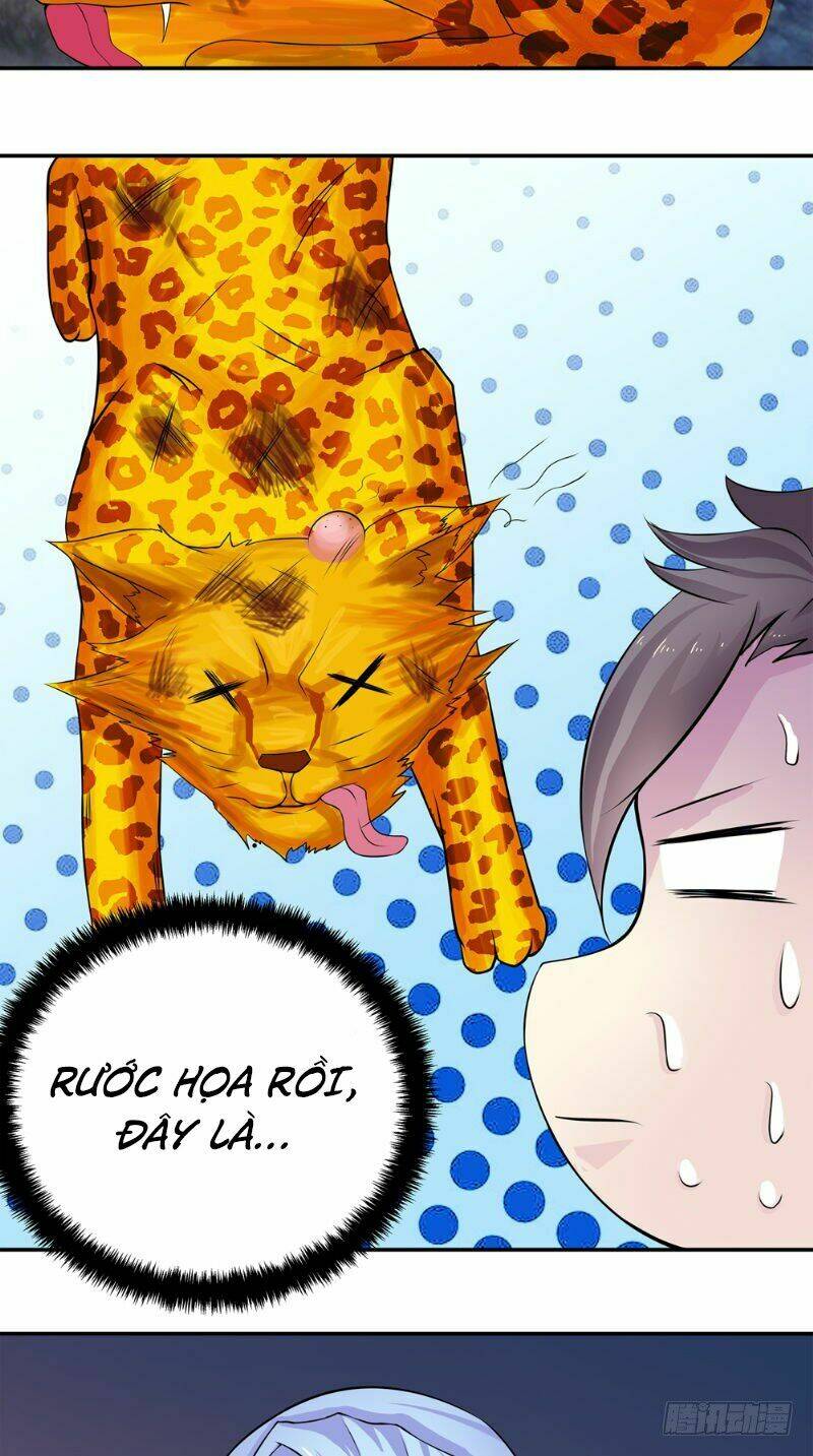 page_17.jpg