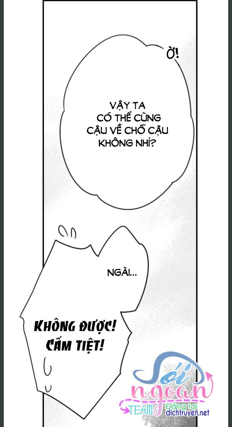 page_29.jpg