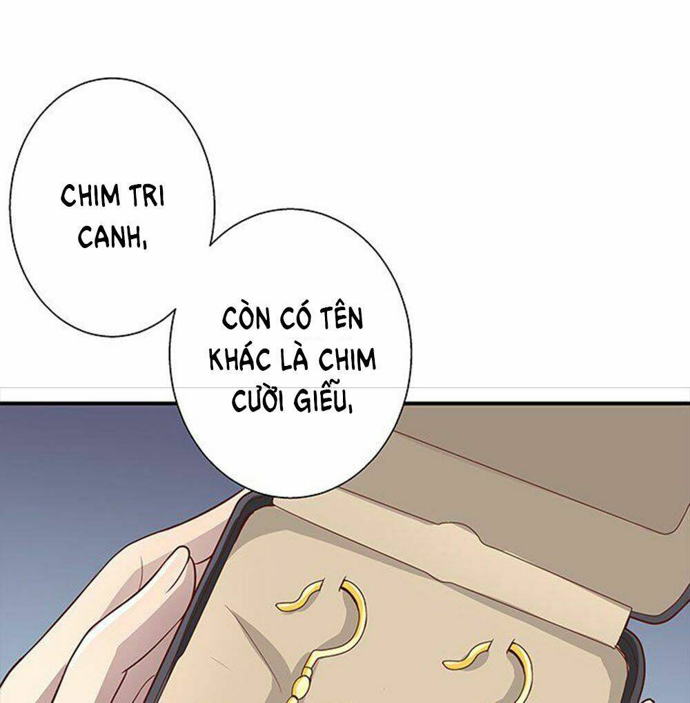 page_30.jpg