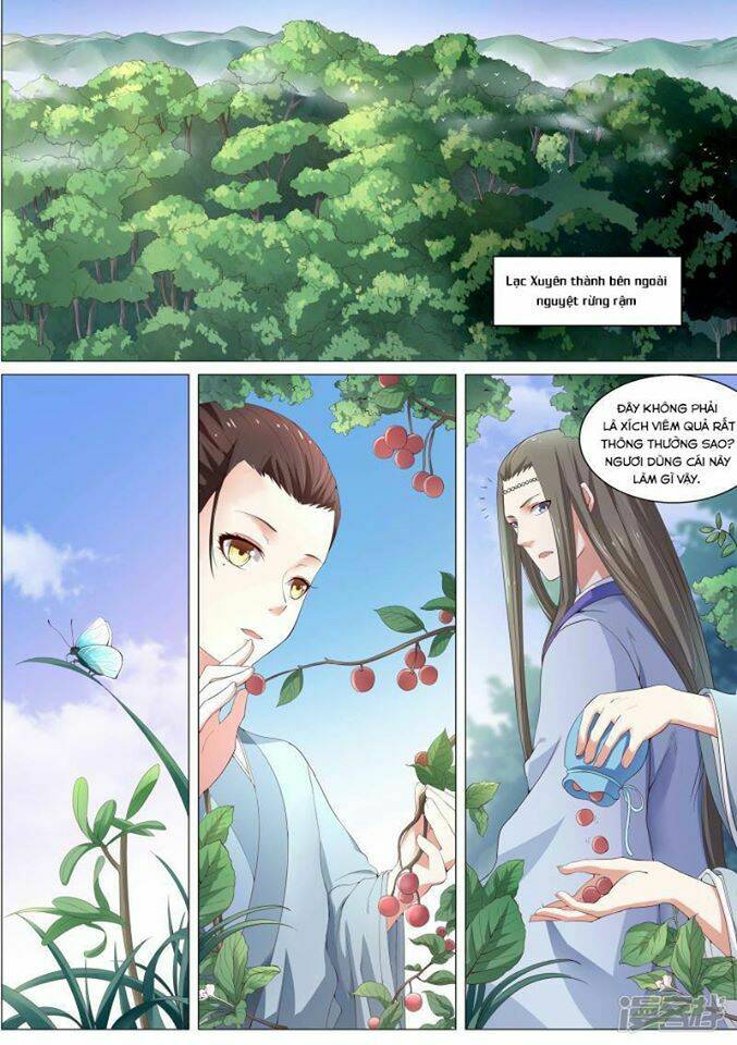 page_16.jpg