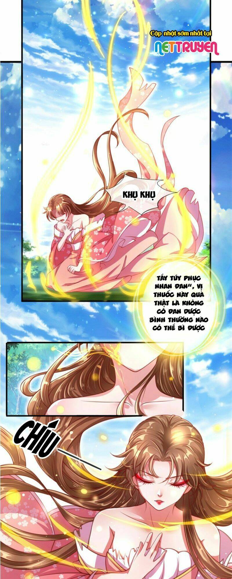 page_19.jpg