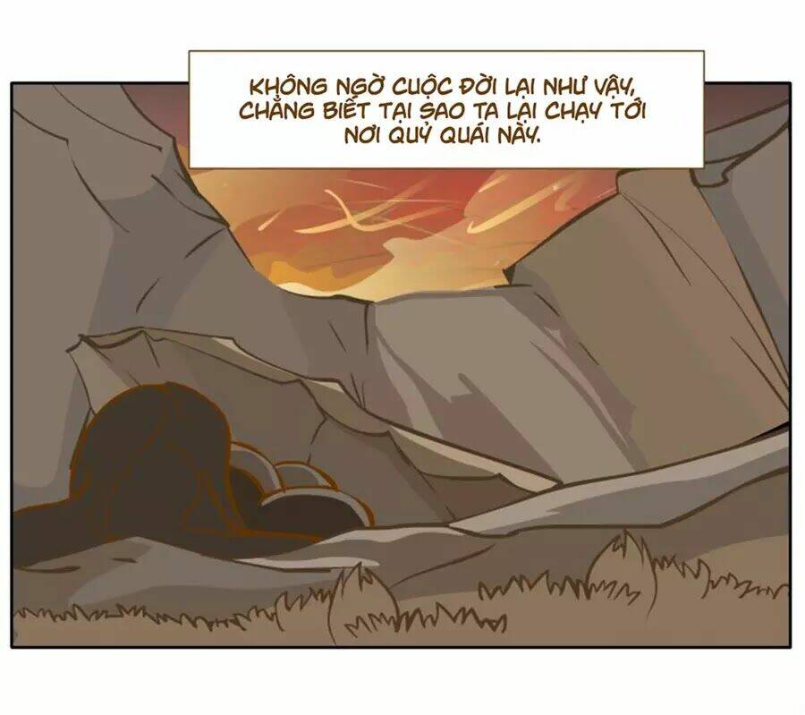 page_20.jpg
