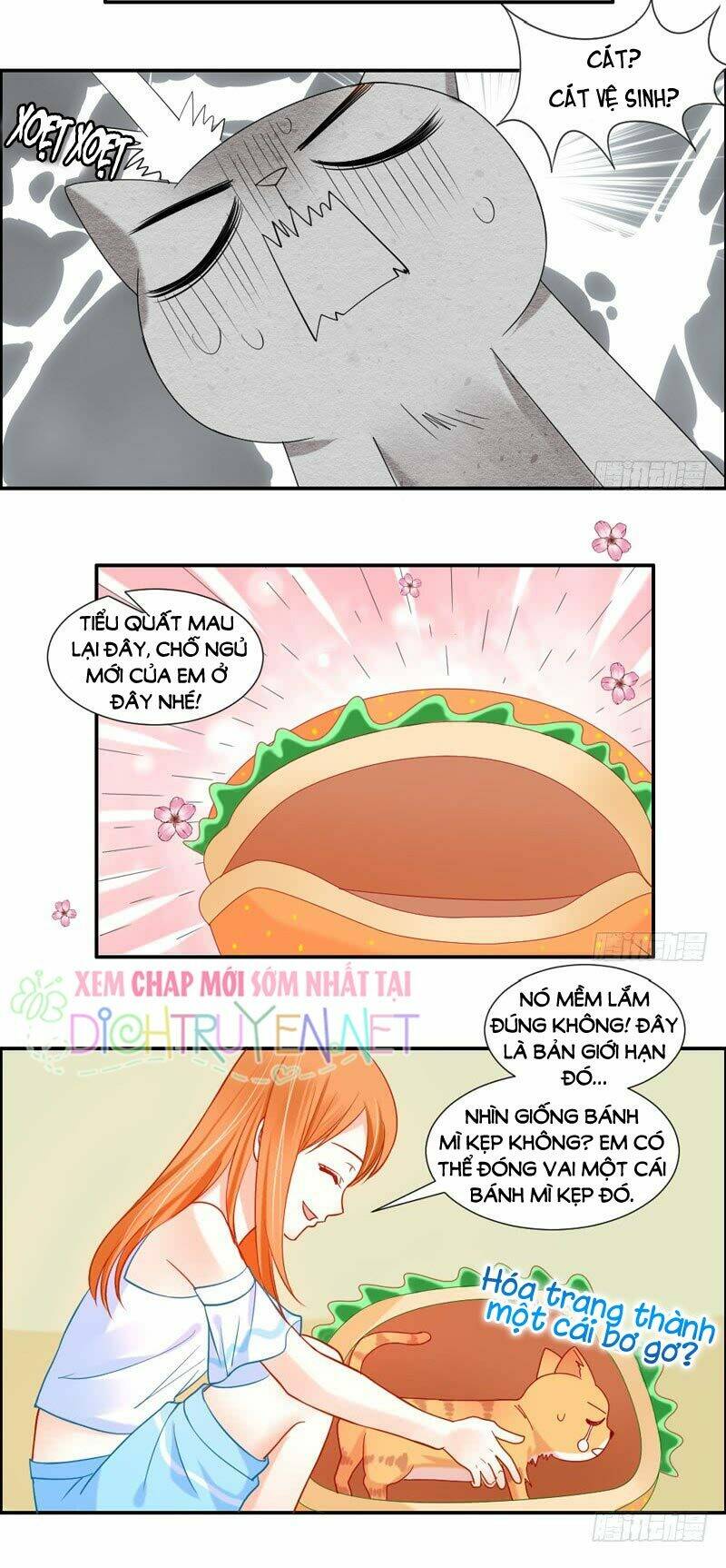 page_13.jpg