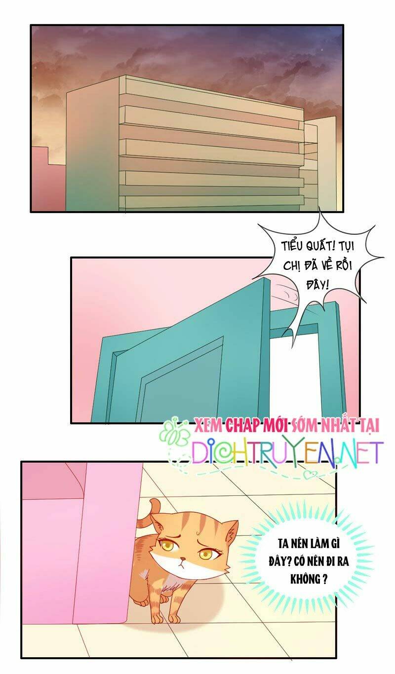 page_7.jpg