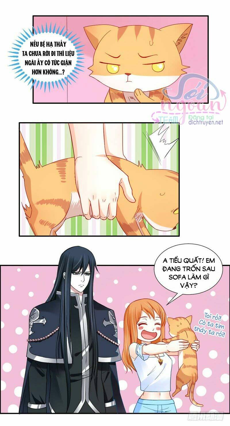 page_8.jpg