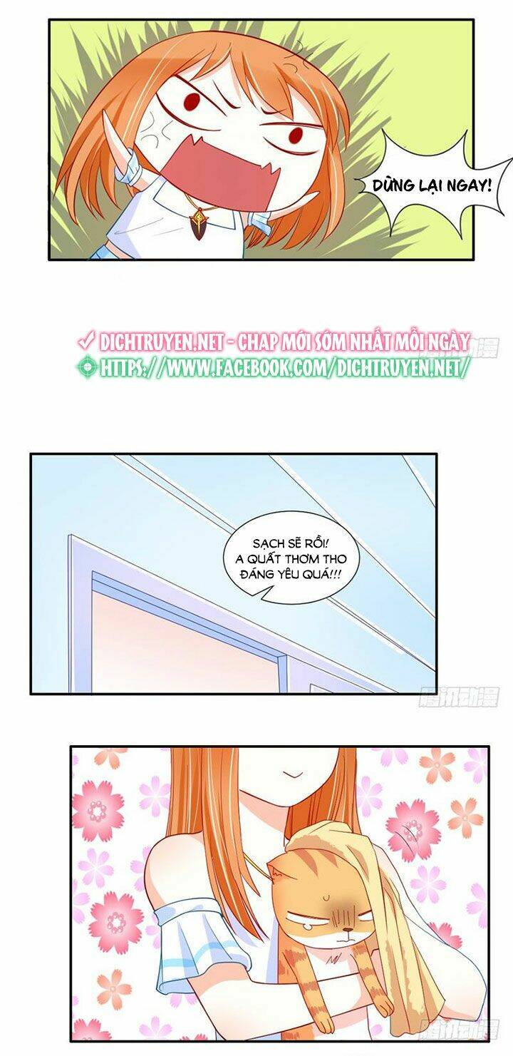 page_7.jpg