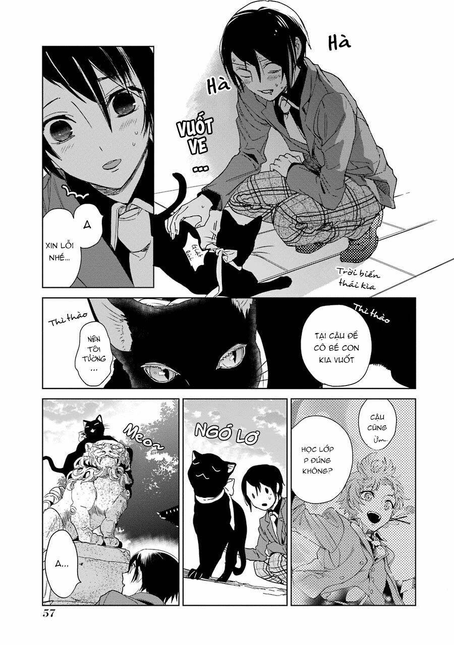 page_20.jpg