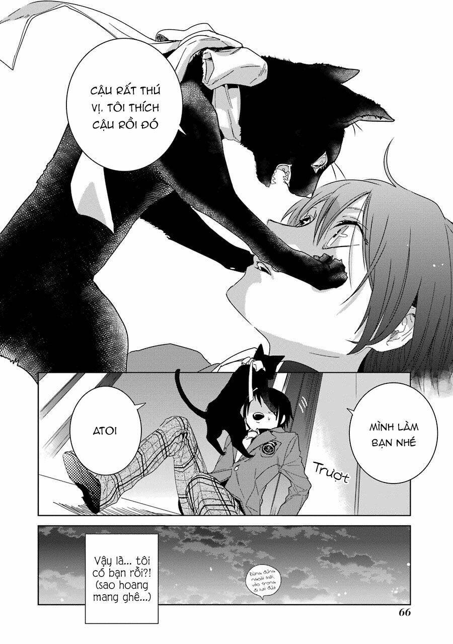 page_29.jpg