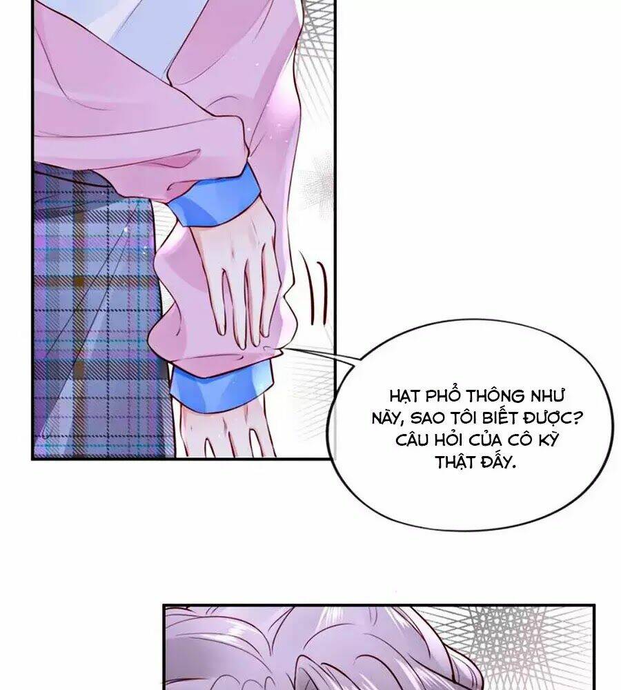 page_20.jpg