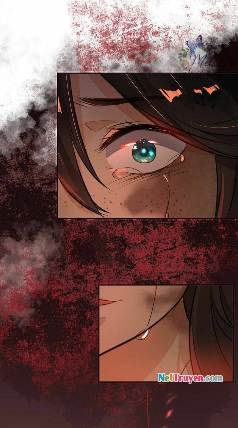 page_11.jpg