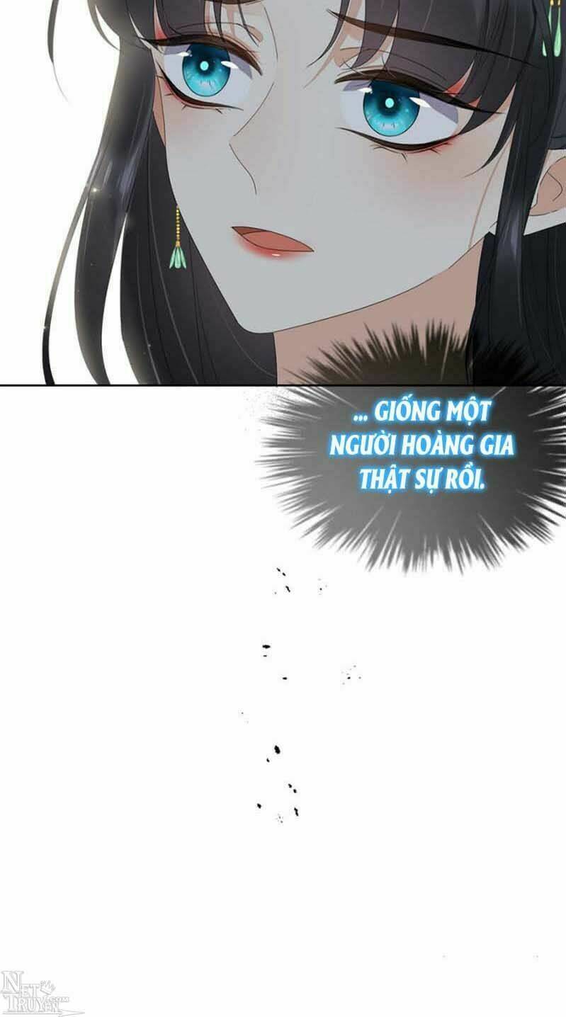 page_26.jpg