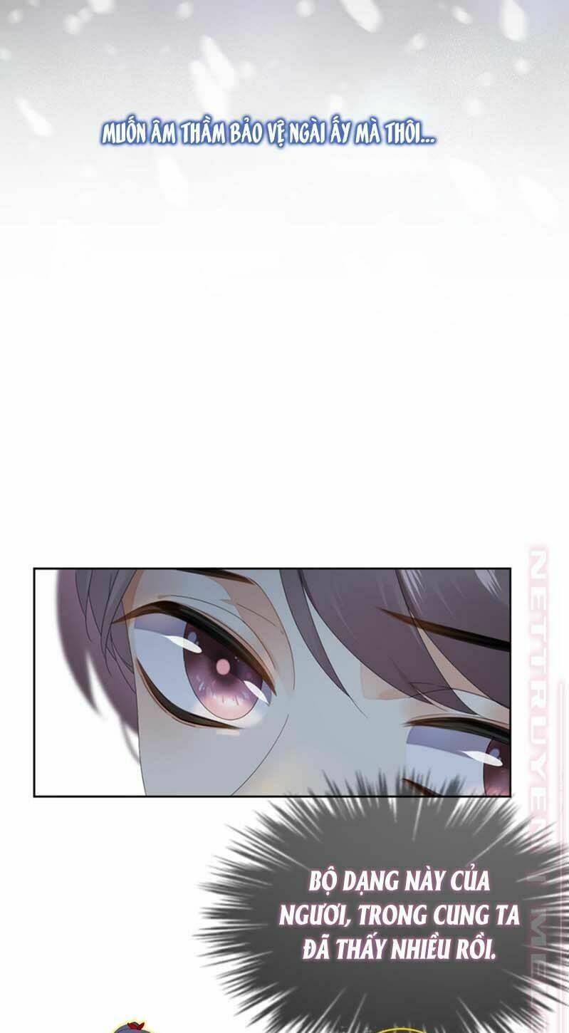 page_17.jpg