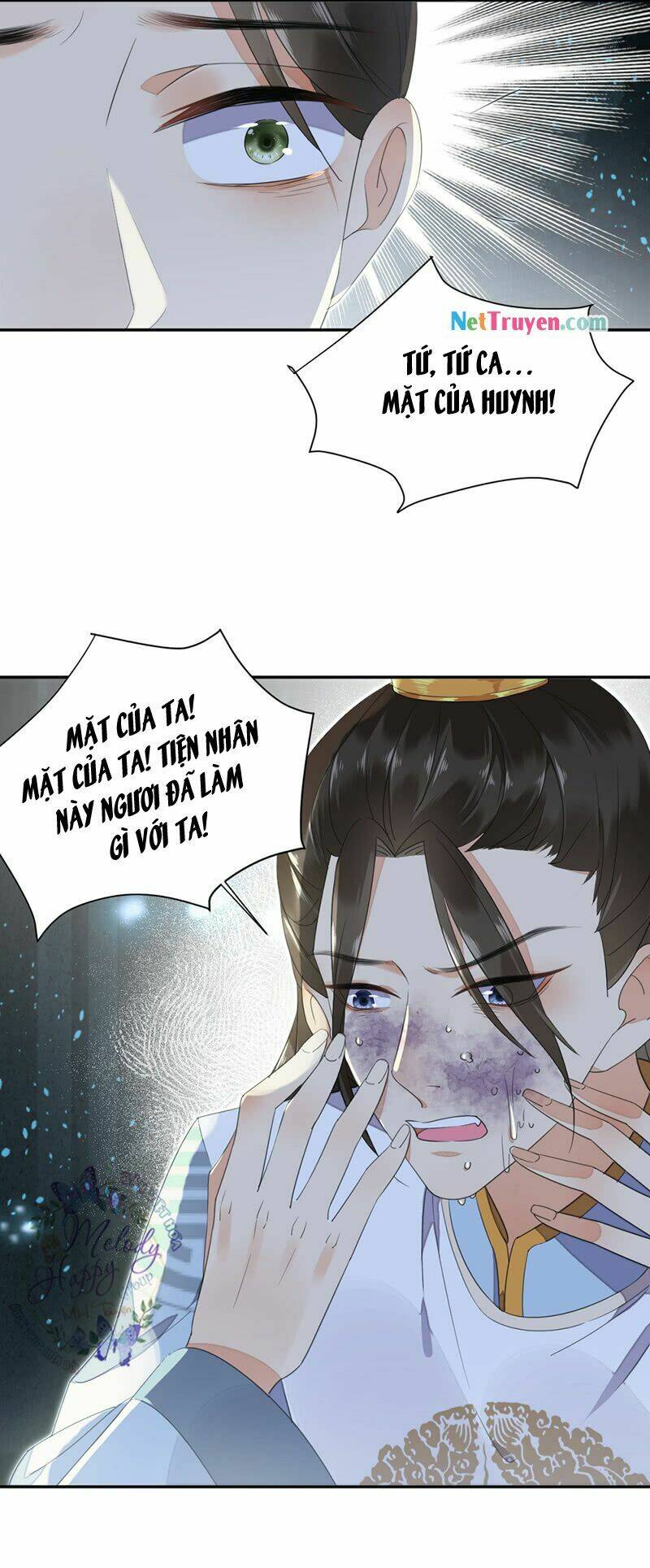 page_21.jpg