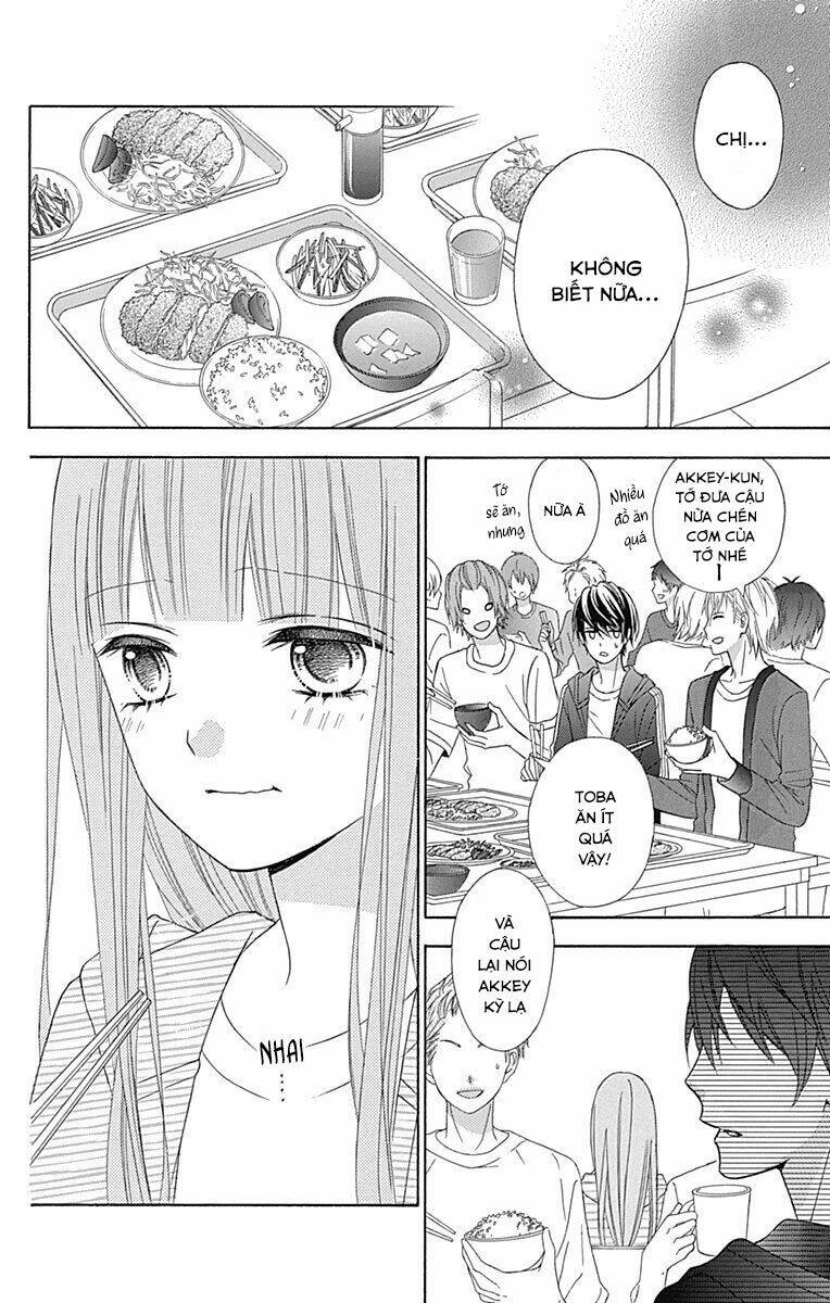 page_19.jpg