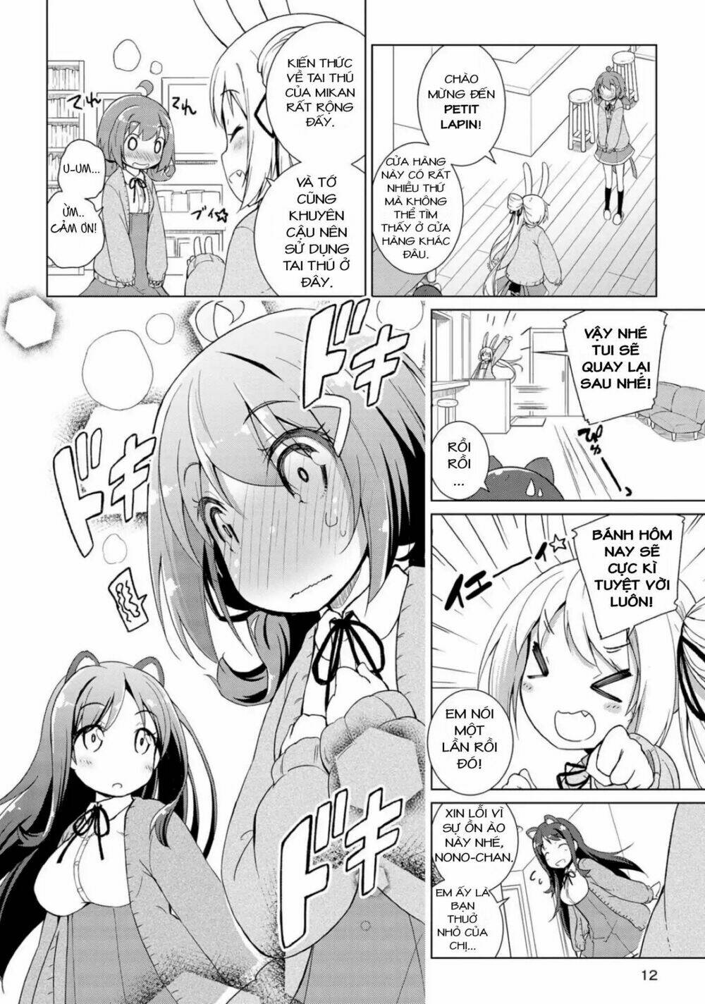 page_11.jpg