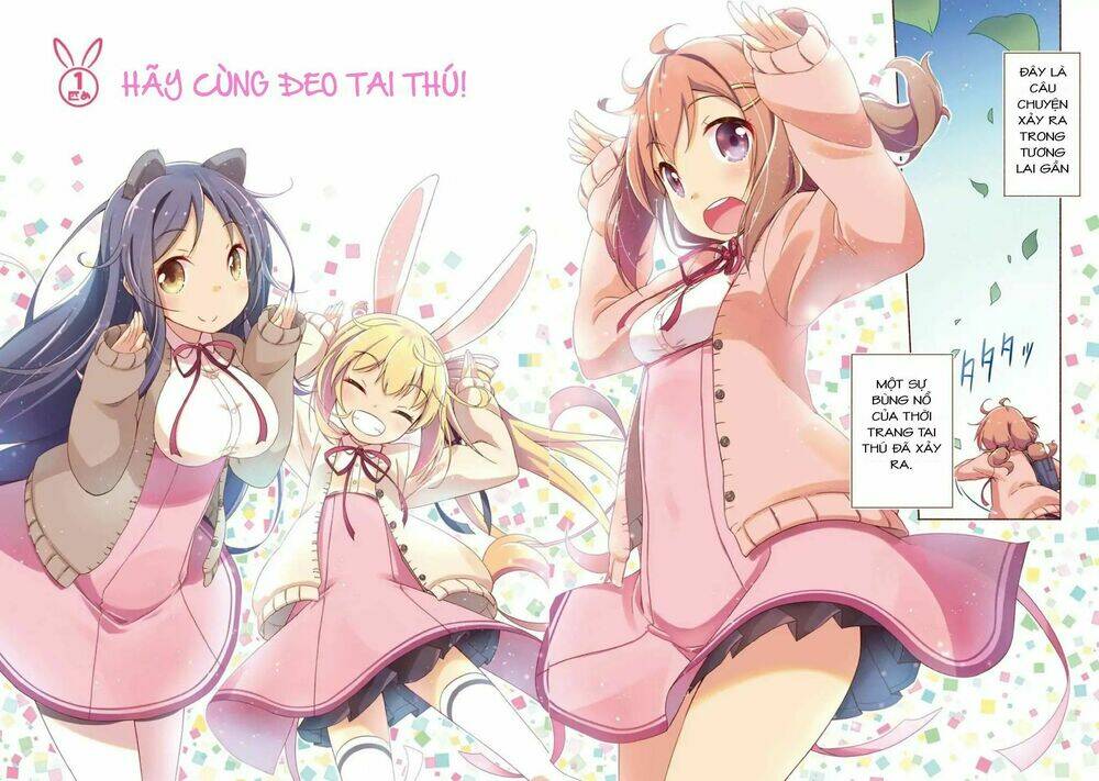 page_5.jpg