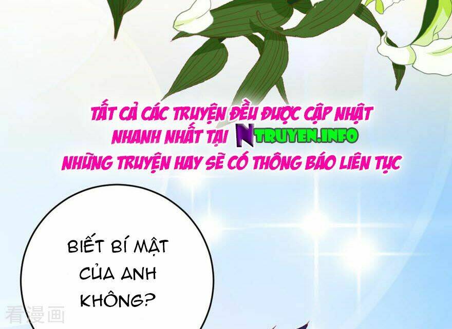 page_21.jpg